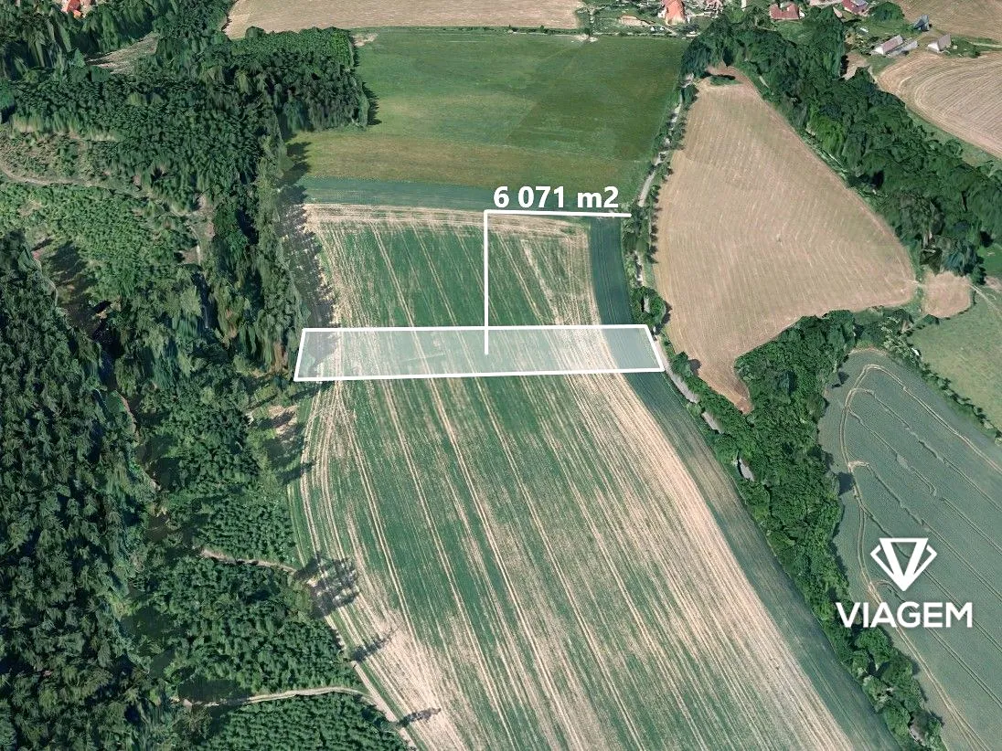 Prodej podílu 1/4 pole 1517 m²